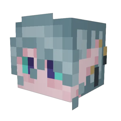 Raven_BrokenBirb Minecraft avatar head, 3D render