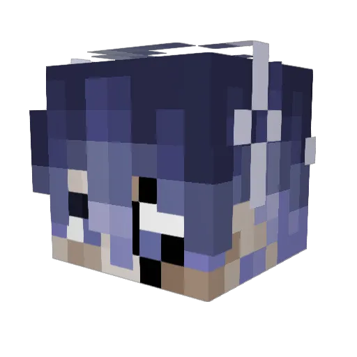 Raven_CB Minecraft avatar head, 3D render