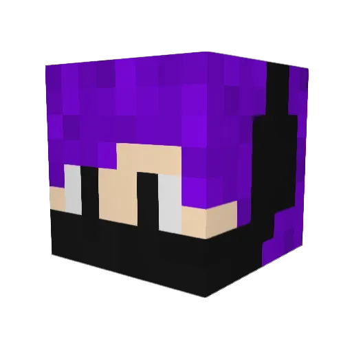 Raven_Cryo Minecraft avatar head, 3D render