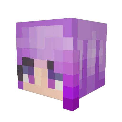 Raven_Flight Minecraft avatar head, 3D render