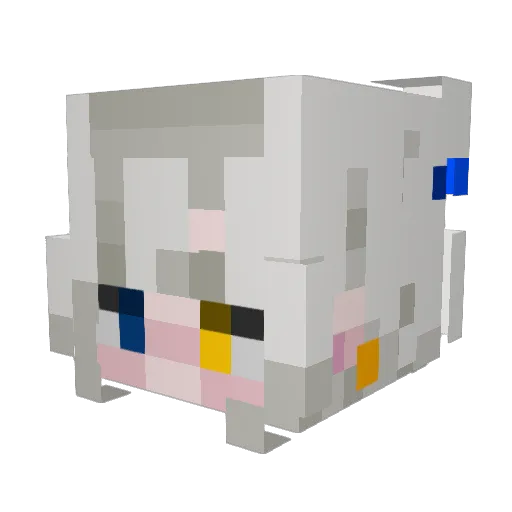 Raven_StarGazer Minecraft avatar head, 3D render