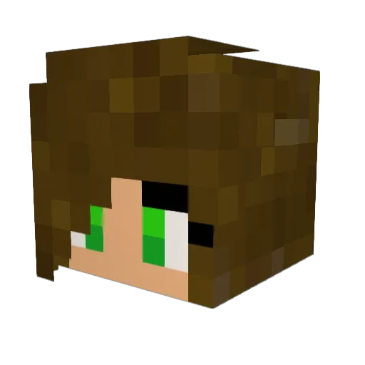 Ravenblood22 Minecraft avatar head, 3D render