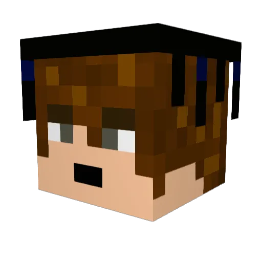 Ravenbrothers_ Minecraft avatar head, 3D render