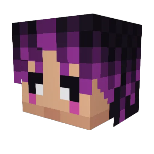 Ravenchimps Minecraft avatar head, 3D render