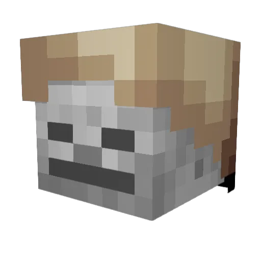 Ravencloak1 Minecraft avatar head, 3D render