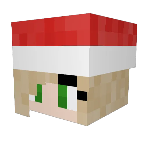 Ravenhx Minecraft avatar head, 3D render