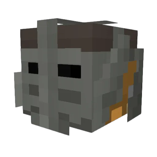 Ravenlord_ Minecraft avatar head, 3D render