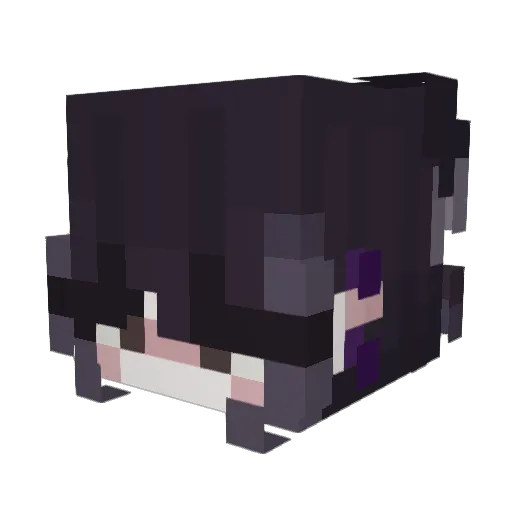 Ravennx Minecraft avatar head, 3D render