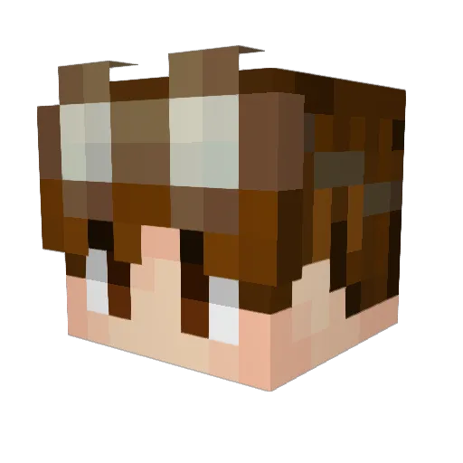 Ravenoux Minecraft avatar head, 3D render