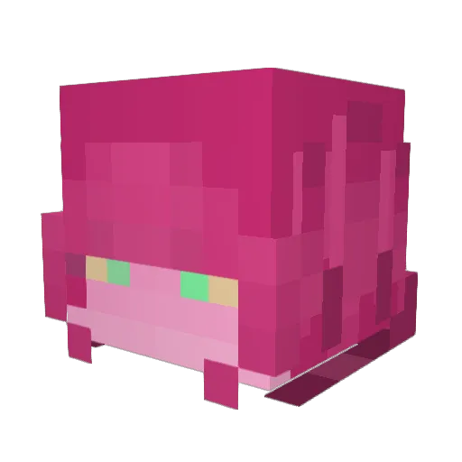RavensEatEyes Minecraft avatar head, 3D render