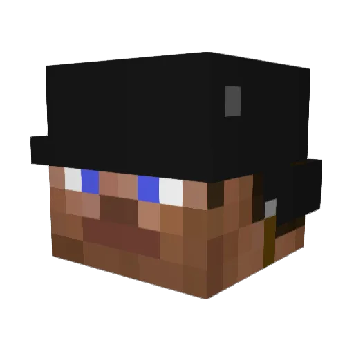 RavensEye Minecraft avatar head, 3D render