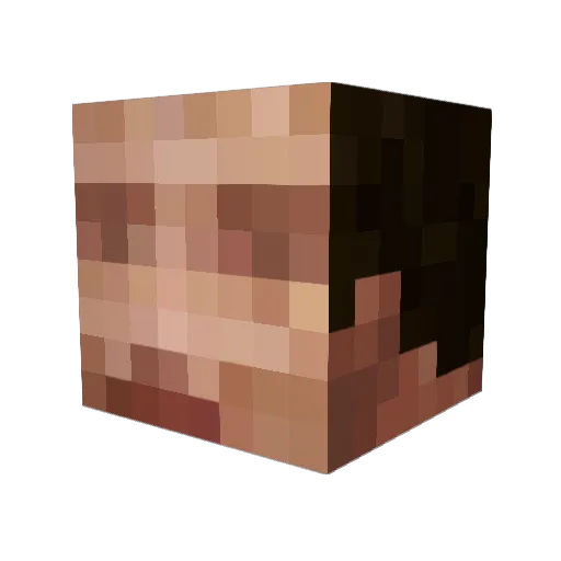 RavensRiddle Minecraft avatar head, 3D render