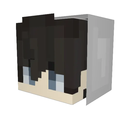 Ravens_VN Minecraft avatar head, 3D render