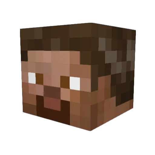 Ravensief Minecraft avatar head, 3D render