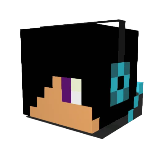Ravensword176 Minecraft avatar head, 3D render