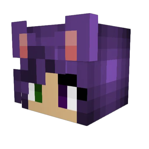 RaventheWitch Minecraft avatar head, 3D render