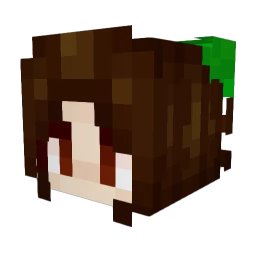 Raventurock Minecraft avatar head, 3D render