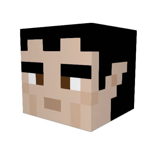 Ravenwaff Minecraft avatar head, 3D render