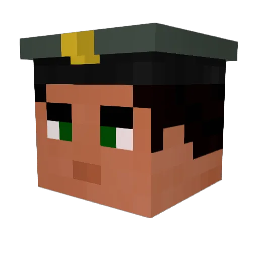 Ravenx36 Minecraft avatar head, 3D render
