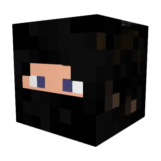 Raverax Minecraft avatar head, 3D render