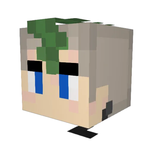 Raveus92 Minecraft avatar head, 3D render