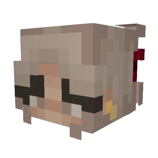 RaveyGravey Minecraft avatar head, 3D render