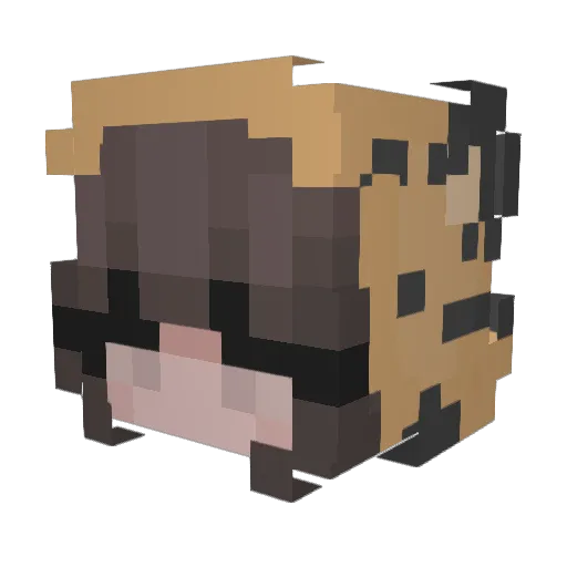RavielleLiora Minecraft avatar head, 3D render