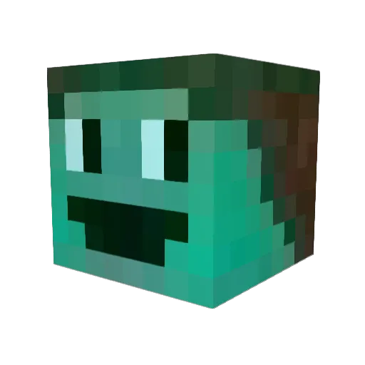 Ravine_x Minecraft avatar head, 3D render
