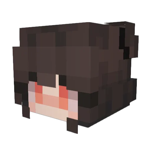 RavingLunitic Minecraft avatar head, 3D render