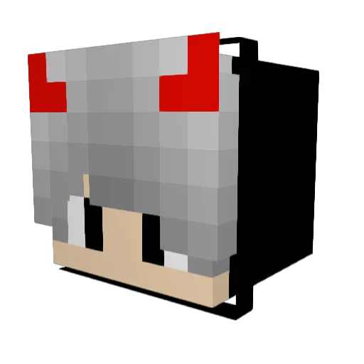 Ravingrabbids Minecraft avatar head, 3D render