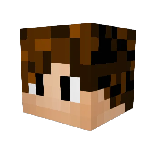 Ravinndra Minecraft avatar head, 3D render