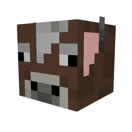 Ravioli10 Minecraft avatar head, 3D render