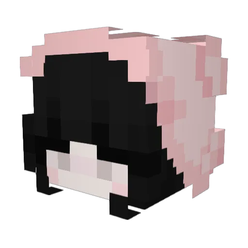 RavioliCube Minecraft avatar head, 3D render