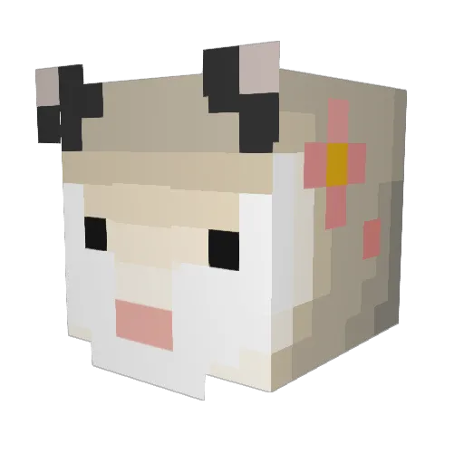 Ravioliis Minecraft avatar head, 3D render