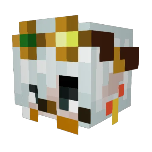 Raviram Minecraft avatar head, 3D render