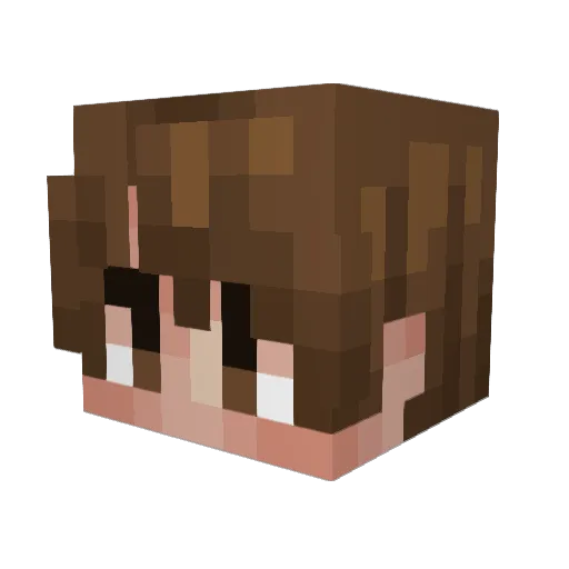 Ravo4090 Minecraft avatar head, 3D render