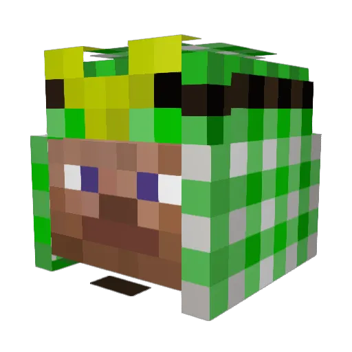 Ravocy_ Minecraft avatar head, 3D render