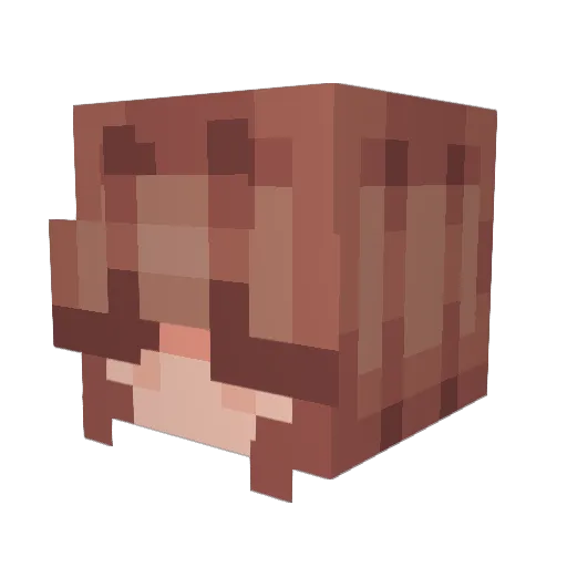Ravonixs Minecraft avatar head, 3D render