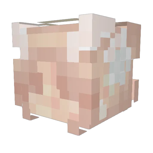 RavynB Minecraft avatar head, 3D render