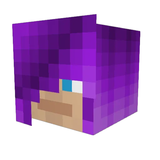 Ravynesque Minecraft avatar head, 3D render