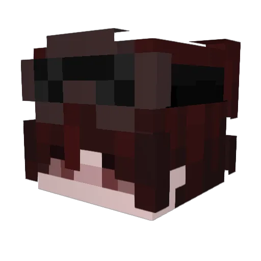 Ravzoom Minecraft avatar head, 3D render