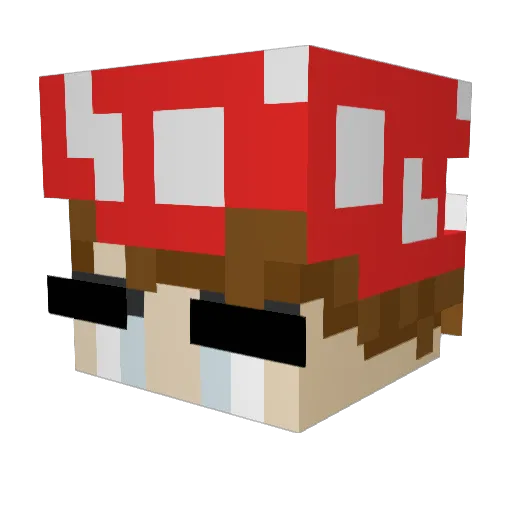 RawDawg710 Minecraft avatar head, 3D render