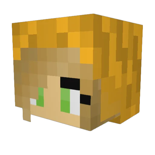 RawFire98 Minecraft avatar head, 3D render