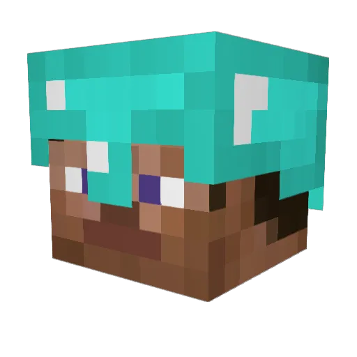 RawMeatEnjoyeer Minecraft avatar head, 3D render