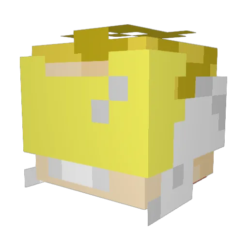 Raw_Men_ Minecraft avatar head, 3D render