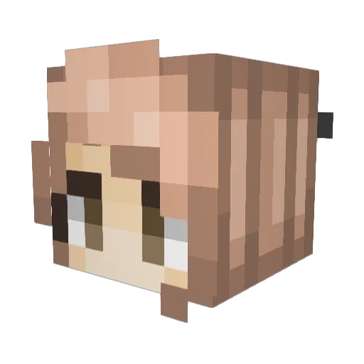 Raw_Toast Minecraft avatar head, 3D render