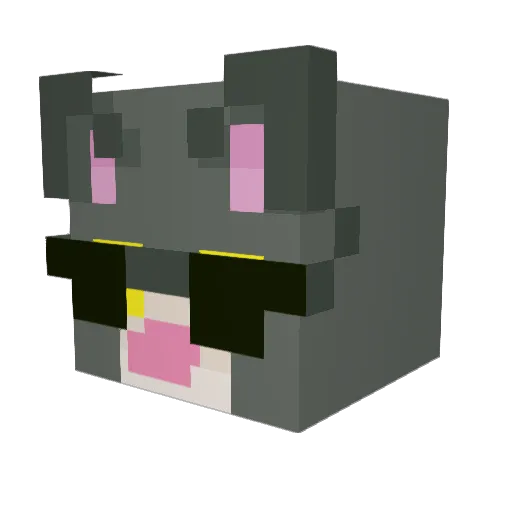 Raw_kid Minecraft avatar head, 3D render