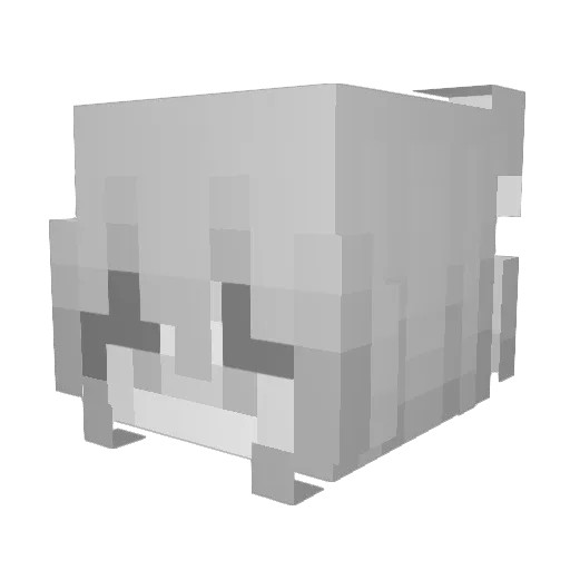 RawanNotFound Minecraft avatar head, 3D render