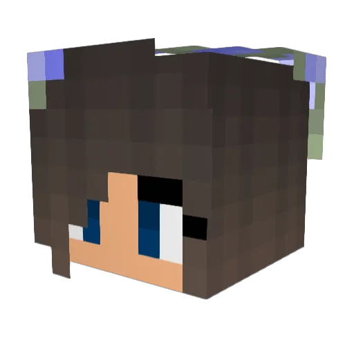 RawbDawgin Minecraft avatar head, 3D render
