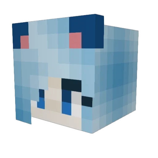 Rawboy9000 Minecraft avatar head, 3D render
